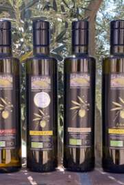 *IMMERSION AU CŒUR DE L'OLIVERAIE : VISITE ACCOMPAGNÉE DU MAS PY ET DÉGUSTATION D'HUILE D'OLIVE D'EXCEPTION