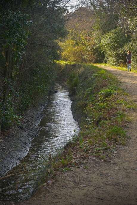 BALADE CONTÉE À PIED, LE LONG DU REC DEL MOLI