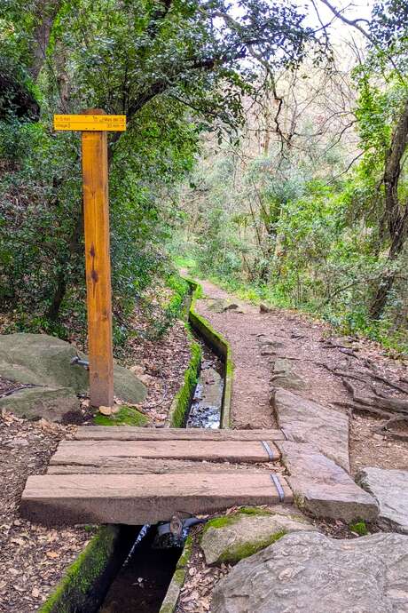 BALADE NATURE ET PATRIMOINE "LA FORGE MURMURE"