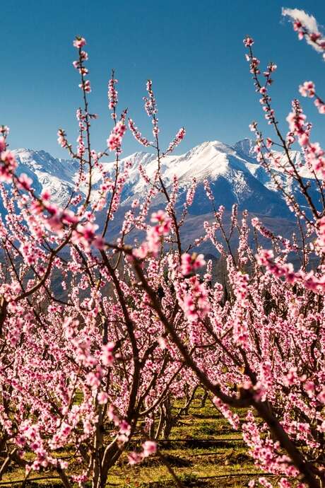 PARTICIPEZ À NOTRE ENQUÊTE !  A GAGNER : UN SÉJOUR INOUBLIABLE EN OCCITANIE...