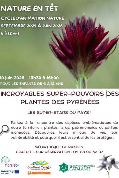 INCROYABLES SUPER-POUVOIRS DES PLANTES DES PYRÉNÉES