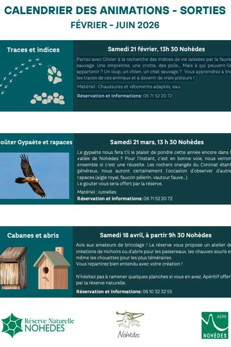 GOÛTER GYPAÈTE ET RAPACES