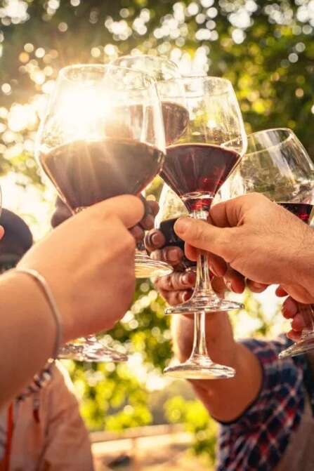 DÉGUSTATION VIGNERONNE AVEC LA CAVE DE L'ABBÉ ROUS