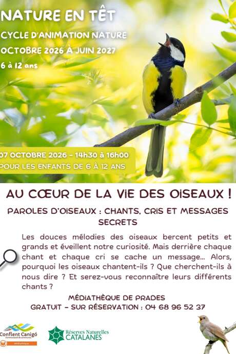 NATURE EN TÊT: AU COEUR DE LA VIE DES OISEAUX!