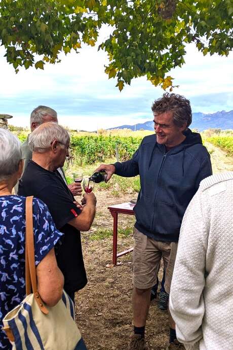 DECOUVERTE VIGNERONNE AU DOMAINE BISCONTE