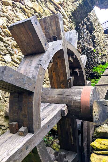 "LA FORGE MURMURE" - BALADE NATURE ET PATRIMOINE