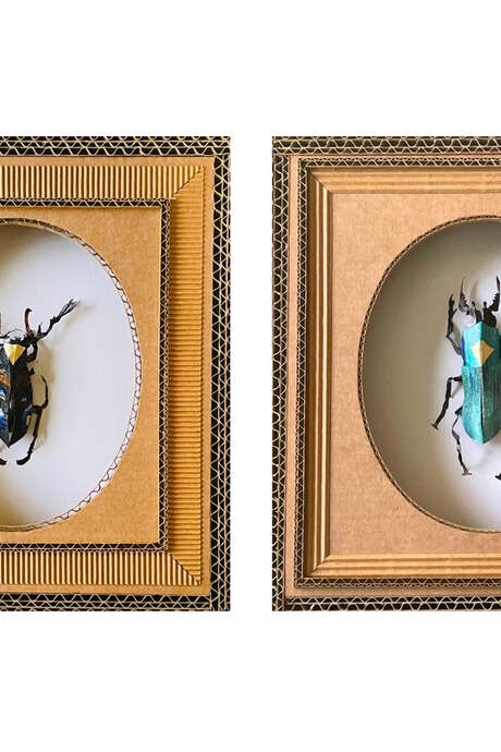 EXPOSITION « LES INSECTES » D’HÉLÈNE LACQUEMENT