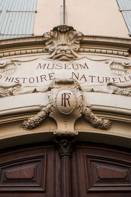 LES INSECTES, UN PEUPLE PAS SI MINUSCULE