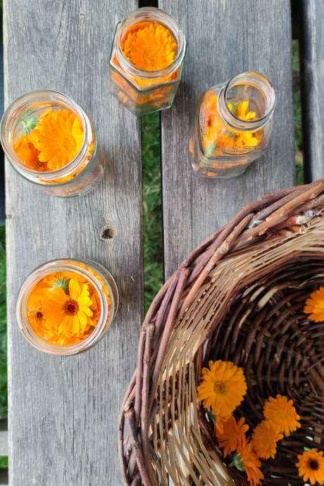 ATELIER CONFECTION D'HUILES AVEC DES VÉGÉTAUX DU JARDIN
