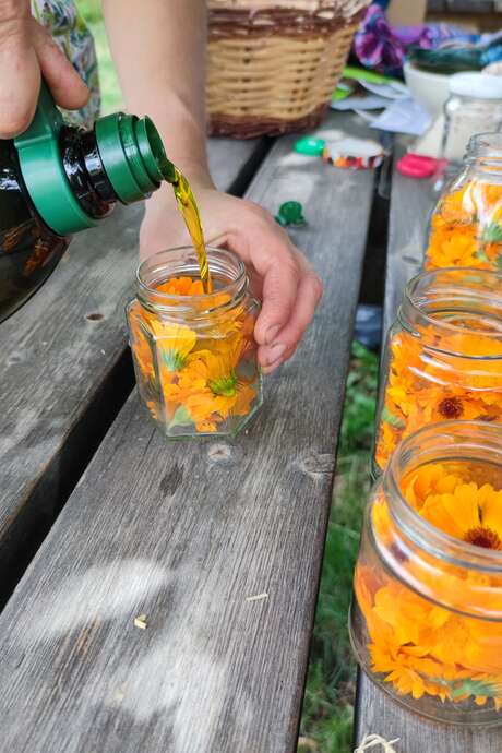 ATELIER CONFECTION D'HUILES AVEC DES VÉGÉTAUX DU JARDIN