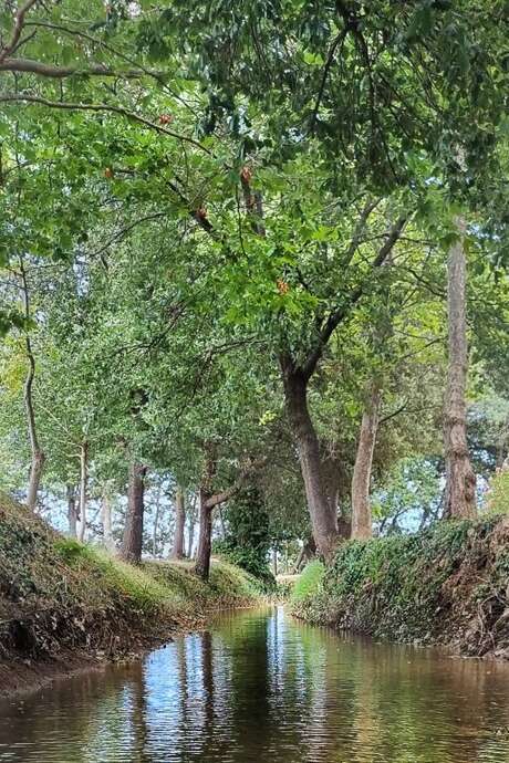 JOURNÉE MONDIALE DE L’EAU : VISITE "LAS CANALS, UN CANAL ROYAL"