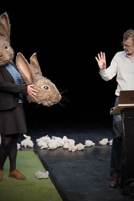 LE PROBLÈME LAPIN