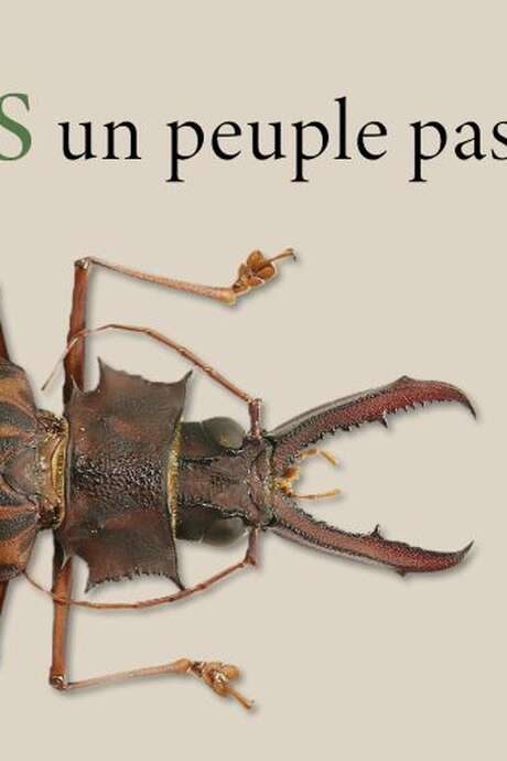 LES INSECTES, UN PEUPLE PAS SI MINUSCULE