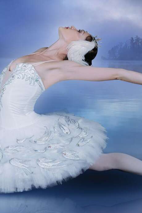 « LE LAC DES CYGNES »