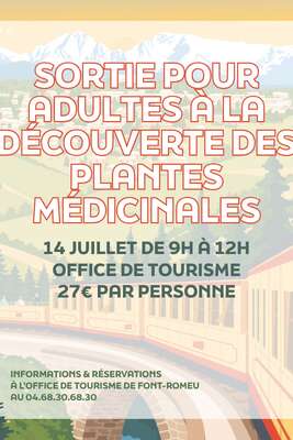 SORTIE POUR ADULTES À LA DÉCOUVERTE DES PLANTES MÉDICINALES - 14 JUILLET