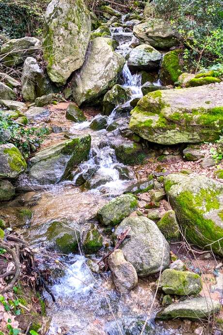 BALADE NATURE ET PATRIMOINE "LA FORGE MURMURE"