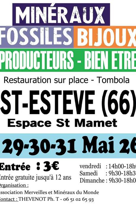 MINERAUX FOSSILES BIJOUX