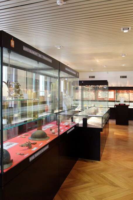 UN PEUPLE PAS SI MINUSCULE, LES INSECTES