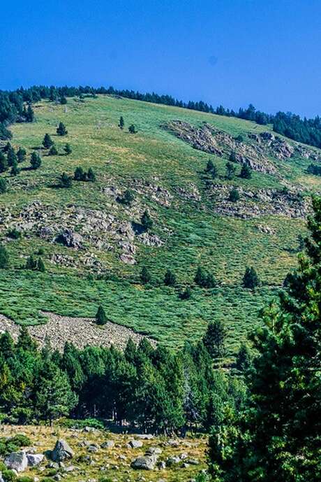 LES SENTIERS DE CLAIRE : LE CAMI RAMADER DANS LA VALLEE DE NOHEDES