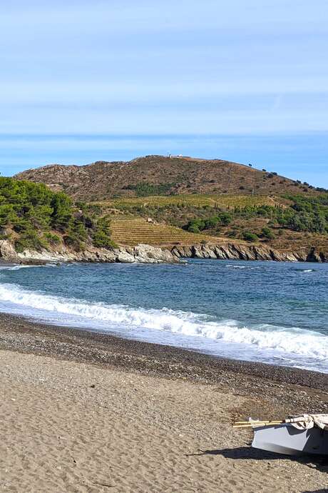 EXPOSITION "365 JOURS A PAULILLES"