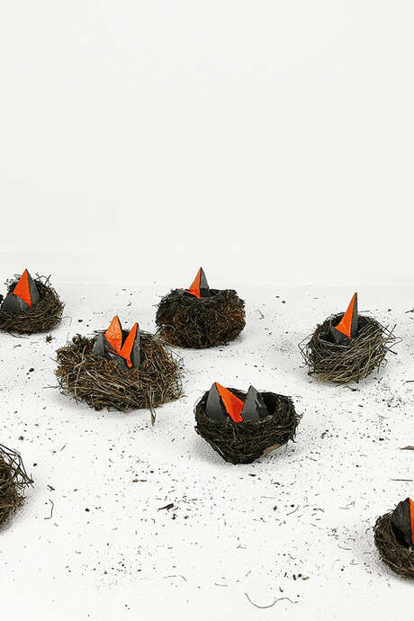 EXPOSITION « LES CARNIVORES ET LES OISEAUX » DE PIERRE FAURET