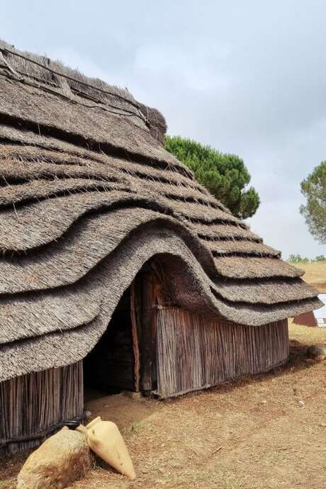 CONFÉRENCE : "LA REPRÉSENTATION DE LA SORCIÈRE ET DE LA MAGICIENNE DU XVIE SIÈCLE À NOS JOURS EN EUROPE OCCIDENTALE"