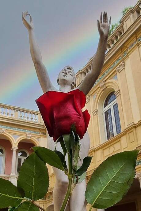 SANT JORDI - LA ROSE DANS TOUS SES JARDINS