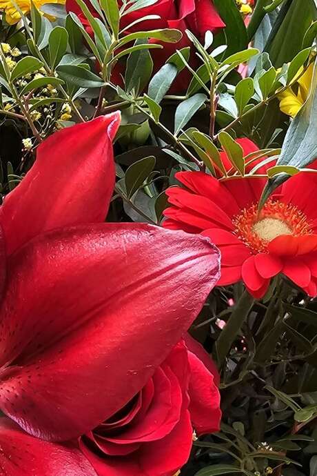 SANT JORDI - L’ITINÉRAIRE DU LIVRE