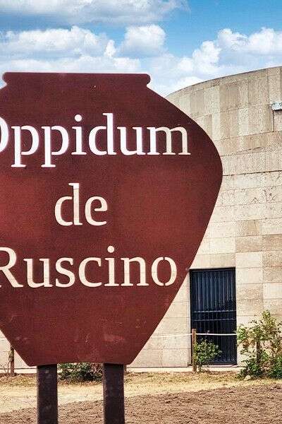 LATINITÉ EN HÉRITAGE - PHOTOGRAPHIES