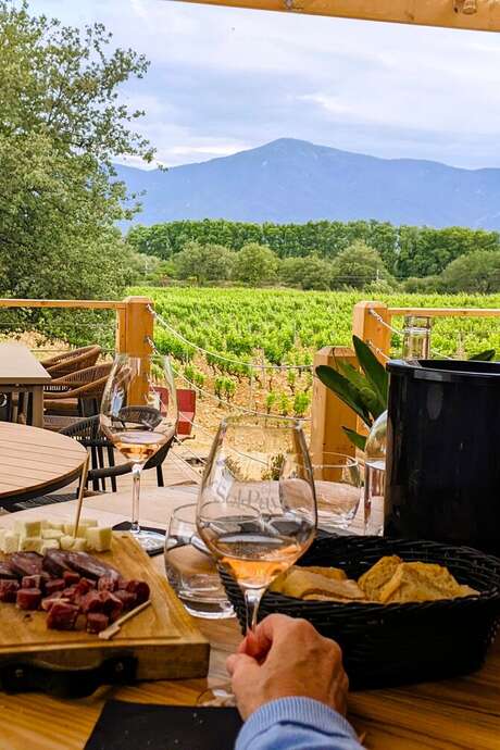 IMMERSION AU COEUR DU DOMAINE SOL PAYRE