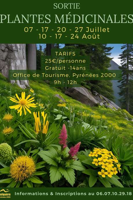SORTIES PLANTES MEDICINALES DES PYRENEES