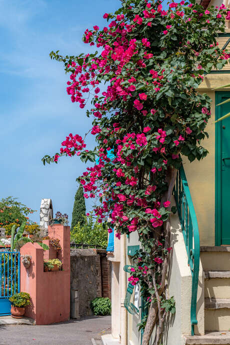 VISITE GUIDEE "SOREDE - BALADE INSOLITE"