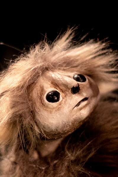 SUR LES PAS D'OODAAQ