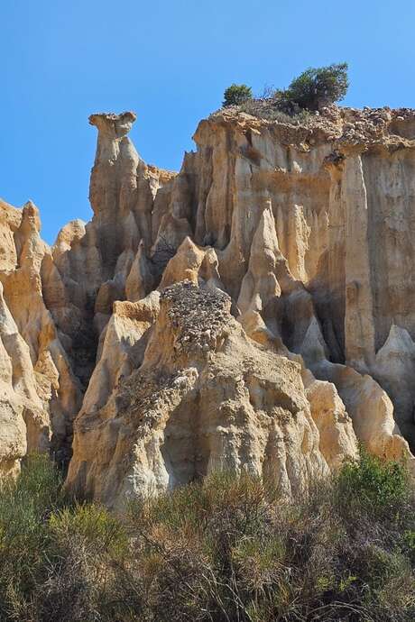 EXCURSION : UNE PROMENADE ORIGINALE