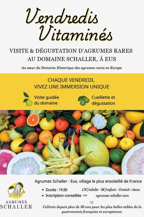 VENDREDIS VITAMINÉS