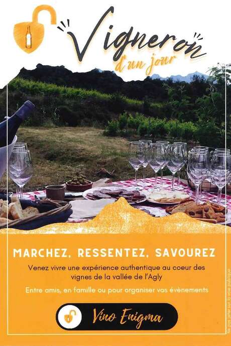 VIGNERON D'UN JOUR - VINO ENIGMA