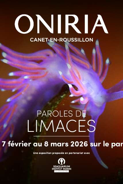 ONIRIA - EXPOSITION XXL « PAROLES DE LIMACES »