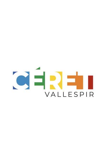 TOURNOI DE BASKET ORGANISÉ PAR L’ENTENTE VALLESPIR BASKET