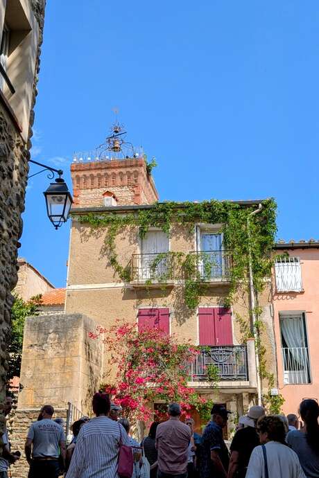 VISITE GUIDEE "HISTOIRE D'UN TERROIR CATALAN"