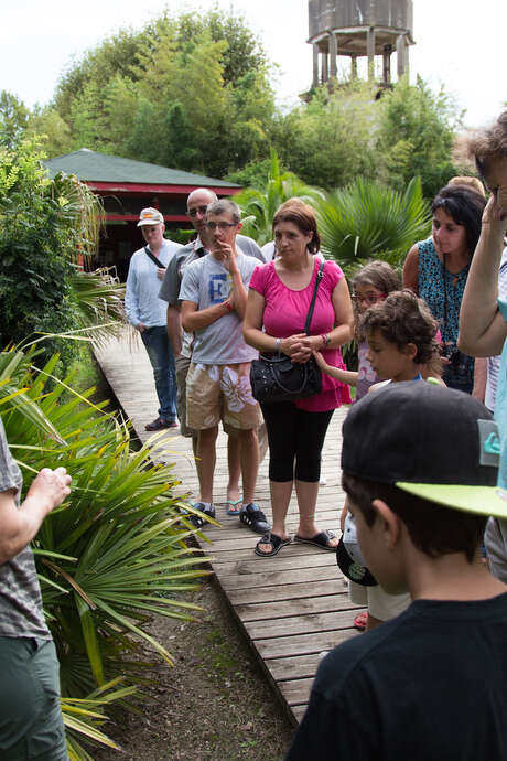 RENDEZ-VOUS AUX JARDINS / VISITE GUIDÉE DU JARDIN DES PLANTES