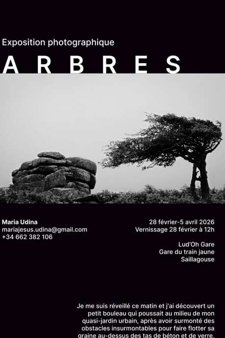 EXPOSITION PHOTOGRAPHIQUE: "ARBRES "- MARIA UDINA