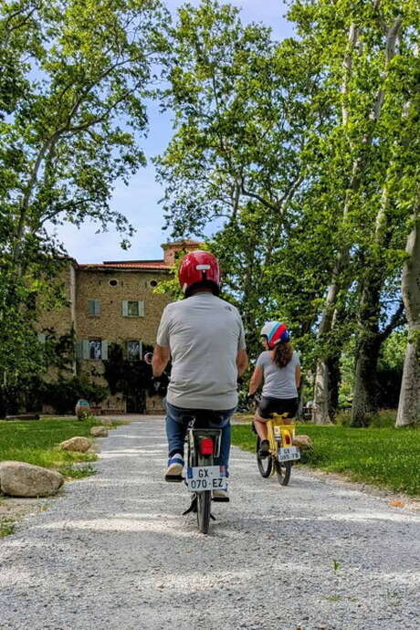BALADE EN SOLEX ET DEGUSTATION DE VINS