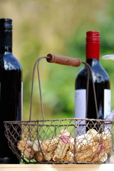 DEGUSTATION AU DOMAINE D'ESPERET