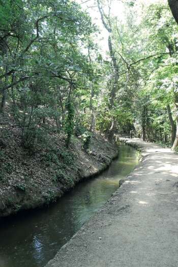 RANDO ACCOMPAGNEE : LE CANAL DE BOHERE, LA VIE SUR LES CONTREFOTS DU CANIGO