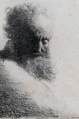 EXPOSITION "L'HÉRITAGE DE DARWIN DANS LE CADRE DE LA FÊTE DE LA SCIENCE"