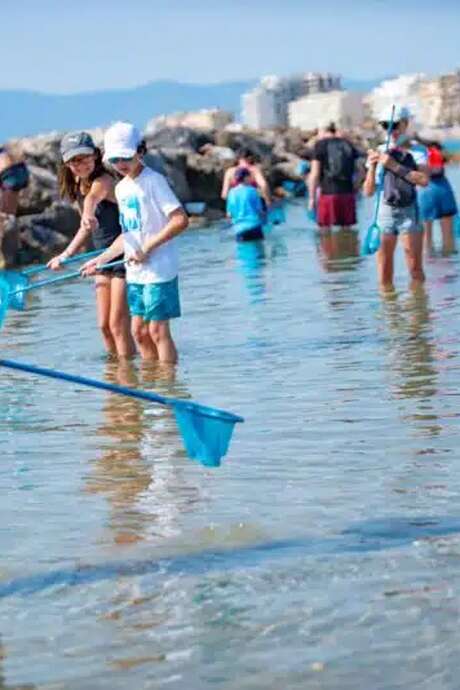 ATELIER PÊCHE A PIED