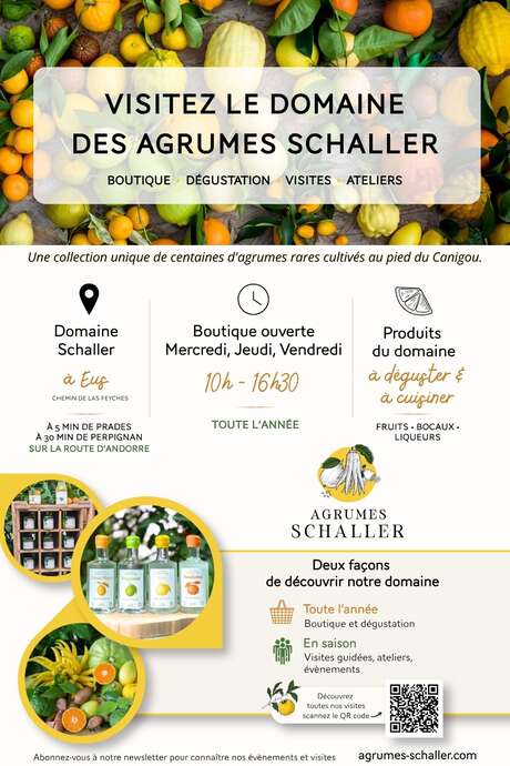 VISITE LES FRUITS D'AGRUMES RARES