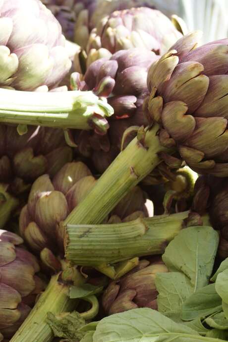FÊTE DE L'ARTICHAUT