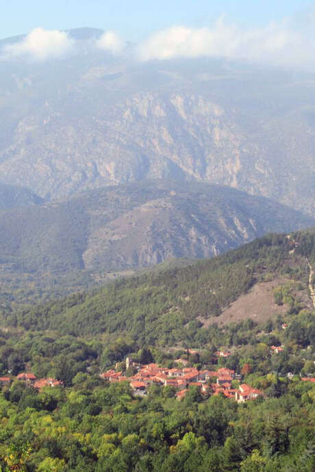 RANDO ACCOMPAGNEE : BOUCLE FORESTIERE VERS LE BALCON DU COGULLO
