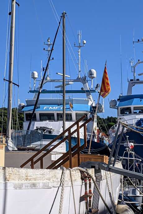 VISITE GUIDEE "PORT-VENDRES AU FIL DE L'EAU"